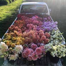 Get ftd® flower delivery today! 15 Fantastic Florists To Follow On Instagram Design Sponge