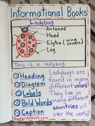 List Of Nonfiction Text Features Anchor Chart First Grade