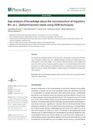 Image result for Impatiens lutzmanniae