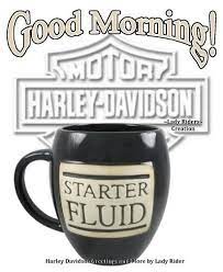 Pin By Rene De Kovel On Bikers Babe Harley Davidson Quotes Harley Davidson Signs Harley Davidson