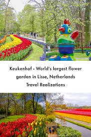 Keukenhof Is The World S Largest Flower Garden This 32 Hectare Garden With More Than 7 Million Tulips Daffodils In 2020 Flower Garden Photo Essay Netherlands Travel