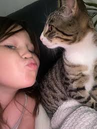 Lost orange tabby cat