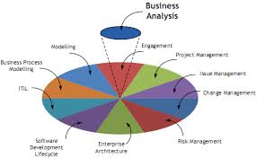 Business Analysis Discussions What Activities A Business Analyst Should Do While Business Analysis Business Analyst Management Development