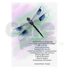Poetry Dragonfly Quotes Dragonfly Dragonfly Meaning