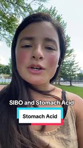 Healing Your Gut: The First Step to Nervous System Regulation