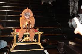 I mean, assuming that you're asking why there's a monkey music box *at all*. Behind The Scenes At The Phantom Of The Opera