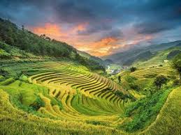 The town covers an area of 677 km2. Trekking In Sapa Homestay In Ta Van Village By Vietnam Travel Top Bookatrekking Com