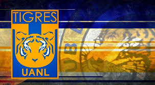 Check spelling or type a new query. Wallpaper Tigres Posted By Christopher Walker