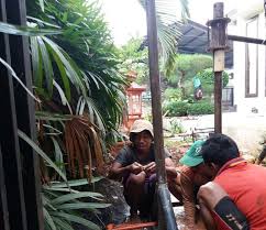 Air merupakan pelarut yang kuat, melarutkan banyak ragam zat kimia. Jual Pompa Air Bekas Tangerang