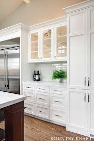 tall cabinet with doors kitchen