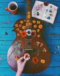 A coffee machine descaler helps remove deposits which accumulate in the machine through time. Pin On Ukulele Guitar