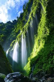 Madakaripura Waterfall Probolinggo East Java Indonesia The Primary Attraction Is Its Natural Environ Madakaripura Waterfall Waterfall Beautiful Waterfalls