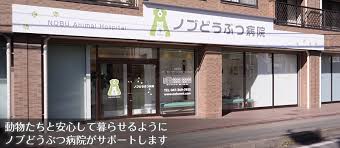 千葉県松戸市 ノブどうぶつ病院 犬 猫を診療