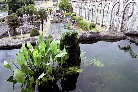 Resultado de imagen de parque do pasatempo