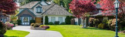 Are you searching for lawn service near me? Ideal Lawn Care Moving Services Lawn Maintenance Yard Cleanup Near Me Tampa Fl Brandon Seffner Ruskin Riverview Apollo Beach