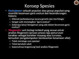 We are a sharing community. Materi Iktioplankton Filogenetik Ikan Pim 3146 2 0 Ppt Download