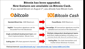 Lots of bch merchants have been accepting zero confirms lately as well, making the discussion topical again as it was a few years ago. Bitcoin Cash Infographic A Simple Explanation Of The Changes Made By The Hard Fork Btc