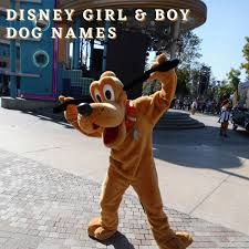 Get inspiration for your dog's name from these magical disney characters. 400 Disney Girl And Boy Dog Names With Movie Origins Pethelpful