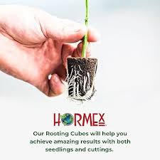 Amazon.com : Hormex Rooting Cubes