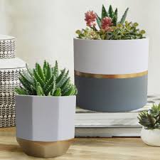 Should plant pots have drainage holes? The Best Pots And Planters On Amazon 2021 The Strategist New York Magazine