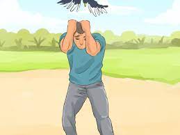 This magpie swoops everyone every time, one man said, adding the bird would frequently attack kids and adults. 3 Ways To Keep Safe From Swooping Australian Magpies Wikihow