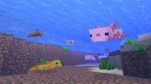 All axolotl are functionally and behaviourally identical; Minecraft Axolotls How To Get The Blue Axolotl Rock Paper Shotgun