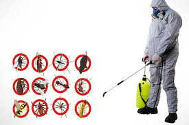 Opt To Best Pest Control Service For Warehouse In India Pest Control Best Pest Control Pest Control Services