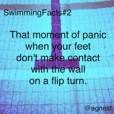 Total Panic With Images Swimming Memes