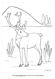 Open any of the printable files above by clicking the image or the link below the image. Caribou Coloring Pages Free Animals Coloring Pages Kidadl