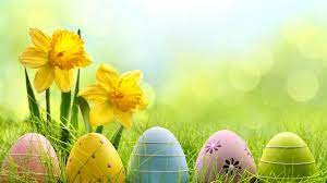Holiday Easter Egg 4k Eggs Wallpapers Easter Wallpapers Celebrations Wallpapers Happy Easter Wallpaper Easter Wallpaper Easter Photography