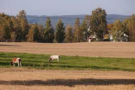 I et takstdokument i 1802 er gården oppført som selveiergods, og karakteriseres som et godt gårdsbruk. Hellerud Norges Vel