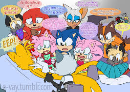 Pin By E Vay Lover On E Vay Sonic Heroes Sonic Fan Characters Sonic Fan Art