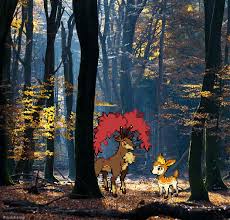 Pin On I Wanna Be The Very Best