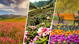 Maybe you would like to learn more about one of these? 6 Flower Valleys In India Straight Out Of Wallpapers