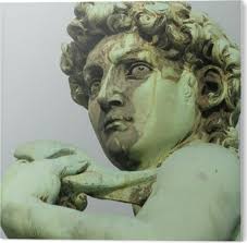 Federa per cuscino Mano e alla moda di David scolpito da Michelangelo,  Firenze