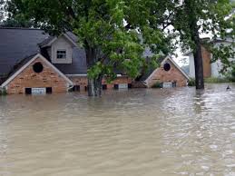 Nằm mơ thấy nước ngập mênh mông là điềm lành hay dữ?