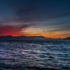 Maybe you would like to learn more about one of these? Watchdog Idle While Polluters Spoil San Francisco Bay Curbed Sf