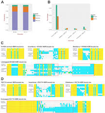 Successful Optimization Of Crispr Cas9 Mediated Defined