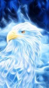 Bird Of Prey Eagle Digital Art Wallpaper Eagle Painting Spirit Animal Art Eagle Pictures