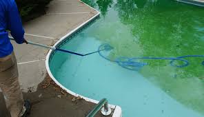 The experts at trouble free pool coined the s.l.a.m. Keeping A Pool Free Of Algae With And Without Vacuum Vacuumhunt