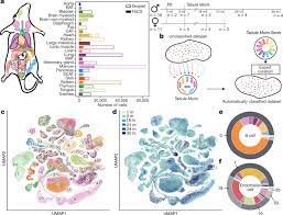 En suivant les liens donnés dans les tables, le lecteur aboutira normalement à une courte liste contenant l'ensemble des livres relatifs au sujet qui l'intéresse. A Single Cell Transcriptomic Atlas Characterizes Ageing Tissues In The Mouse Nature