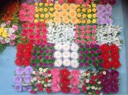 We did not find results for: Artificial Flowers Wholesale Off 65 Online Shopping Site For Fashion Lifestyle