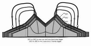 Bra size equivalent to 32d. Sister Sizing 101