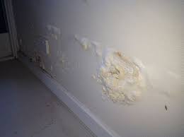 Probleme D Humidite Et Moisissures Sur Mur Interieur Humidite Mur Moisissure Mur Sous Sol Humide