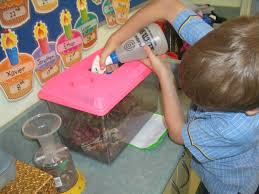 Jackson waters out terrarium.