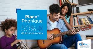 L Innovation Qui Fait Du Bruit Placo Phonique Isolation Phonique Plaque De Platre