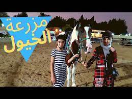 جولة في مزرعة خيول جده ii تجربة ركوب الخيل في نوادي الفروسيه ii مربط الجواد الفريد youtube