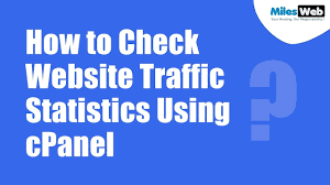 How To Check Website Traffic Statistics Using Cpanel Milesweb Website Traffic Cpanel Website Statistics