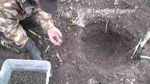 See more ideas about coins, roman coins, roman. Massive 22 000 Coin Find Of Roman Currency Unearthed With Just A Metal Detector The Inquisitr