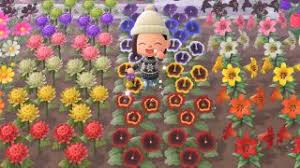 Your flowers stock images are ready. How To Create Hybrid Flowers In Animal Crossing New Horizons Gamesradar